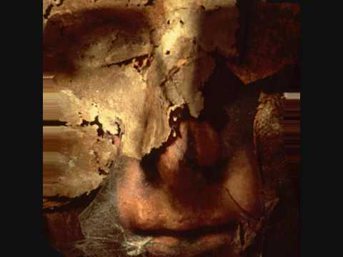 Voices Of Destiny - Return from the ashes