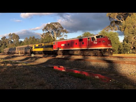 CHUMRAIL 42103 & Southern Shorthaul Railroad GM10