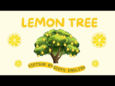 [Lyrics+Vietsub] LEMON TREE - Fools Garden | Scots English