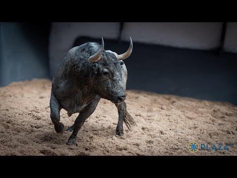 Sorteados los toros de Adolfo Martín para la primera cita de la temporada en Las Ventas
