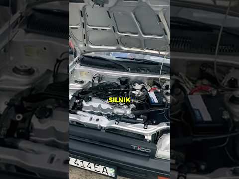 Dlaczego Tico było wszędzie?