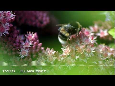 Amyte's Podcast: Ep. 2 - When You're Feeling Down [40 MINUTES OF CHILL MUSIC]