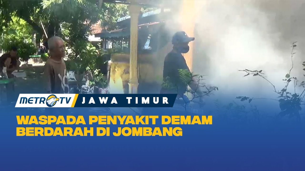 Waspada Penyakit Demam Berdarah di Jombang