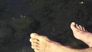 Roedelius - Sonnegeflecht