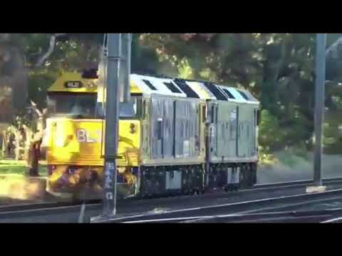 G523 BL31 D734V on light engine in Werribee 20718