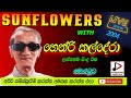 SUNFLOWER WITH HENRY KALDERA හෙන්රි කල්දේරා LIVE SHOW මොරටුව 2