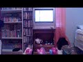 Cupcake Sprinkle Stripe And Sweetie Blue Watch Baking With Pinkie Pie