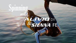 Shimano alivio dx spinning 210 7 35g