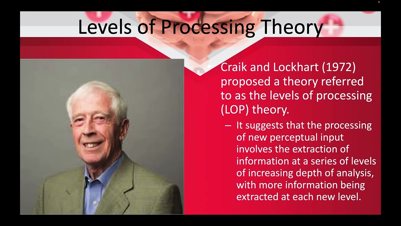 Cognitive Psych Chapter 6