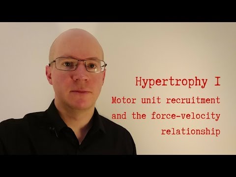 Hypertrophy: motor unit recruitment and the force-velocity relationship