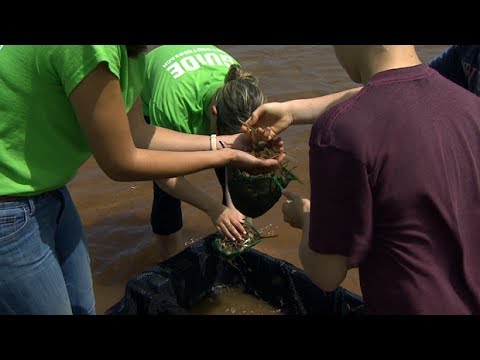 Exploring the beaches of P.E.I.