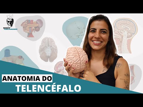 ANATOMIA MACROSCÓPICA DO CÉREBRO II - TELENCÉFALO #8