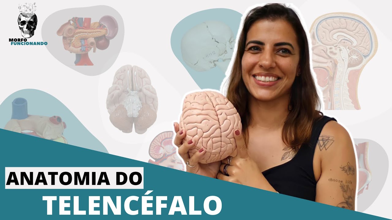 ANATOMIA MACROSCÓPICA DO CÉREBRO II - TELENCÉFALO #8
