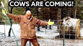 Cattle Pen Built in 3 DAYS in Freezing Temps! 16 foot Cattle Panels