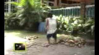 Download lagu bebadean gaul mp3