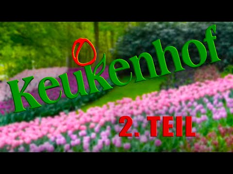 Keukenhof Blumenpark Holland 2019...Ein virtueller Ausflug... Teil 2