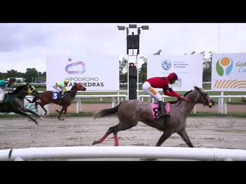 230325 c04 - HOLIDAY BLUE  - HIPODROMO LAS PIEDRAS