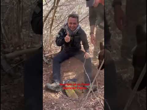 Pacto pela Ordem - Bom Princípio do Piauí