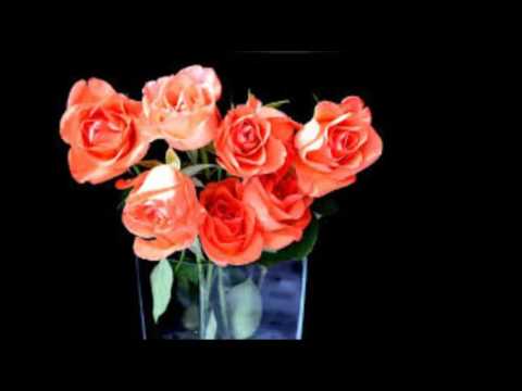 GIV MIG EN BLOMST MENS JEG LEVER - Erik Påske med Willy Grevelund's orkester