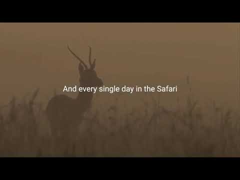 Keep grinding | best motivational video | #everyday in Africa