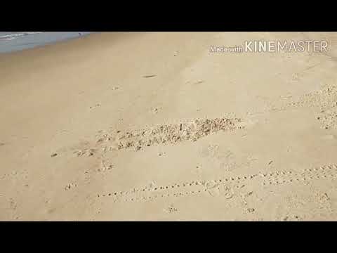 WALK @ MOBOR BEACH 🏖️ GOA