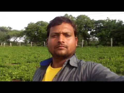 Agricultural ? Drip irrigation