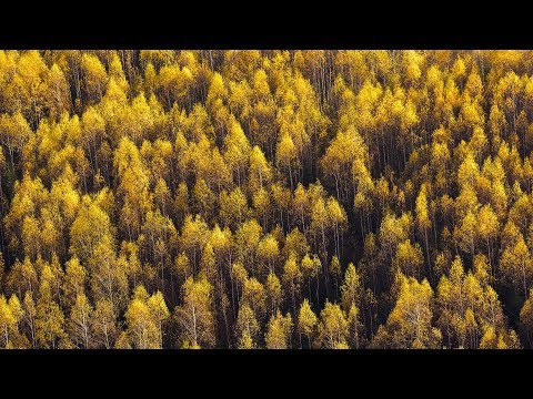 Lessov - Natura [Silk Music]