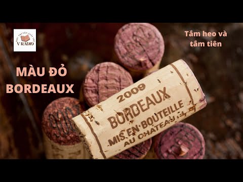 , title : 'Màu đỏ Bordeaux và câu chuyện chêm tiếng nước ngoài | TẮM HEO VÀ TẮM TIÊN | P5 TRUYỆN HAY TIẾNG VIỆT'