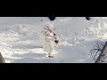 Hauschka - Agdam (Official Video)