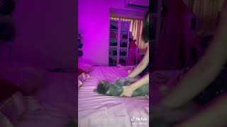 私はネコになりたい