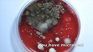 UCLA MIMG: Now Science II - Who's There