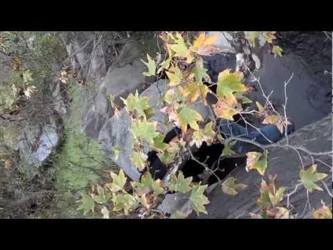 Martin scales the rocks