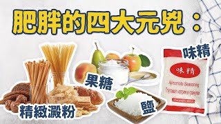 31 .《肥者生存》第四集：肥胖的四大元兇：果糖、精緻澱粉、鹽、味精