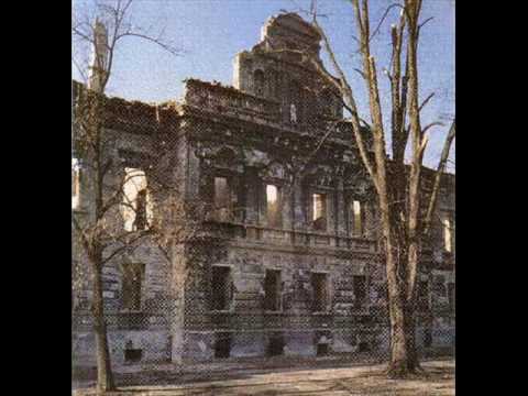 DARIO PLEVNIK - VUKOWAR