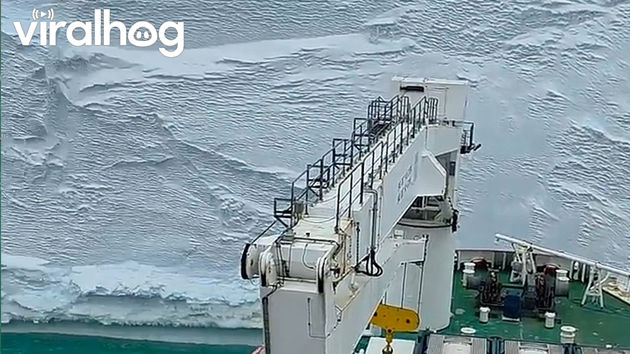 Close Up View of Antarctica's Ice Wall || ViralHog