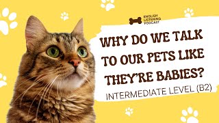 3 Minutes English Listening Podcast | B2 - Upper Intermediate Level | Talk To Pets Like Babies?