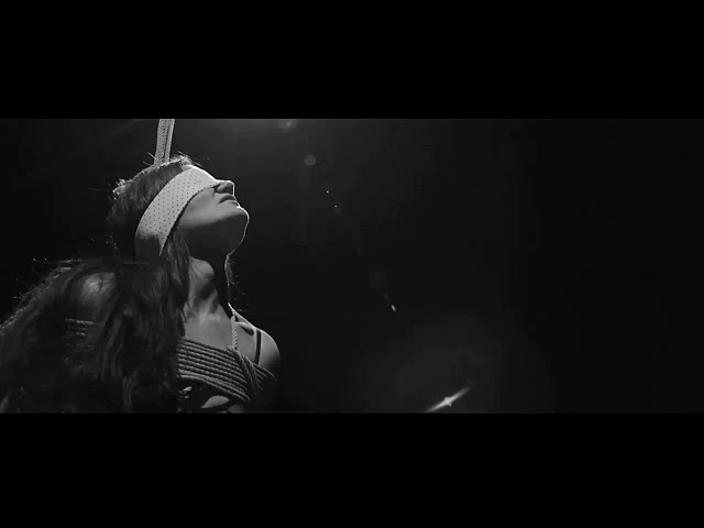 Vídeo relacionado con El poeta troyano: Conversaciones sobre la poesía: 12 (El collar de la paloma)