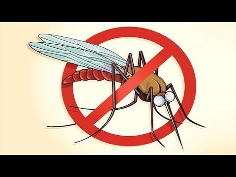 What India can learn from Sri Lanka to make country Malaria free