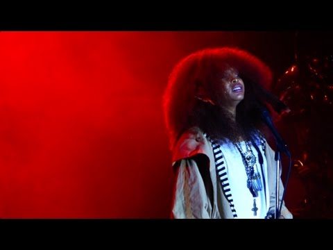 The Roots and Erykah Badu Live Concert Roots Picnic Philly 2015