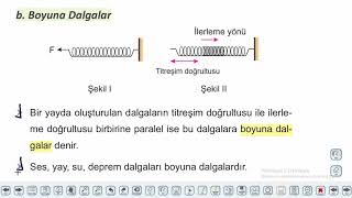 Eğitim Vadisi 10.Sınıf Fizik 10.Föy Dalgalar 1 Konu Anlatım Videoları