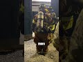 Why Firefighters Wiggle 🧑‍🚒