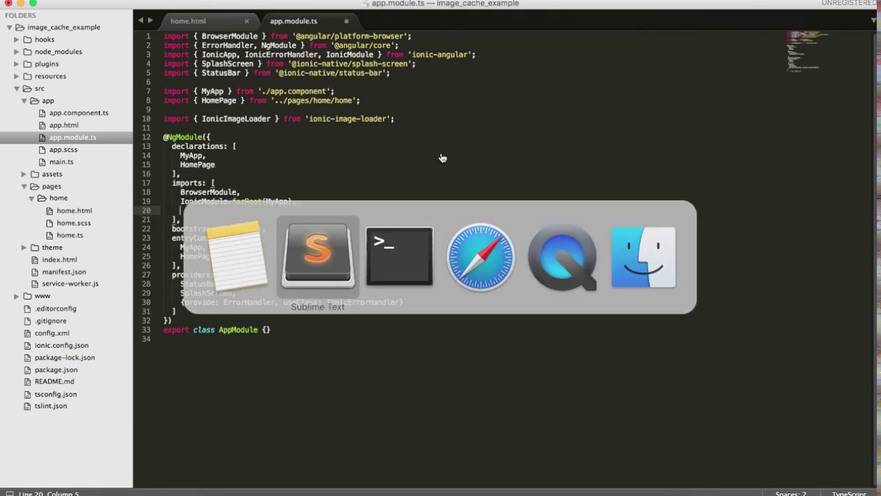 İonic 2 Image Cache (Loader) Ionic 2 Example