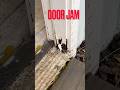Door Jam Dry Rot Repair
