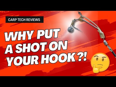 Shot On The Hook Rig | Carp Fishing 2024 - carp rig review