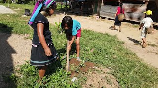 ガチ首長族の村！車と船を乗り継いで辿り着く世俗と離れたパダウン族