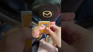 One More Try for Pikachu... Wish Me Luck! ⚡