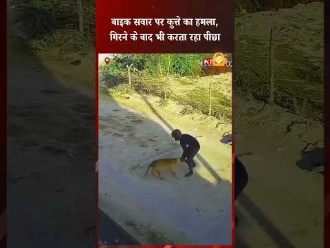 #video #viral #funny #trendingreels #instagramstories #