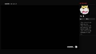 SANT-CapMan　[Fall Guys] 　フォールガイズ