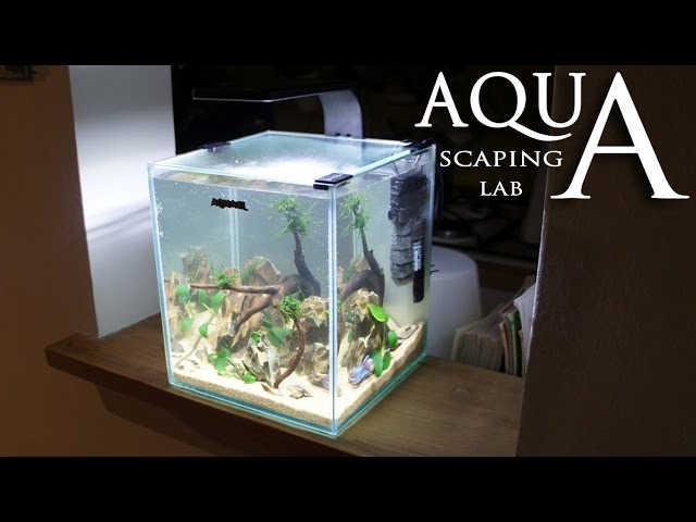 Aquascaping Lab - Tutorial Nano Cube Aquarium (size 20 x 20 x 25H 10L) Stone and wood style