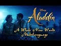 Aladdin 2019 A Whole New World Multilanguage